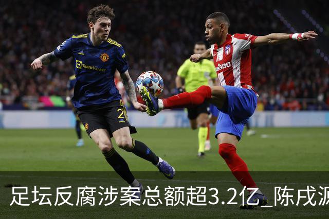 足坛反腐涉案总额超3.2亿 陈戌源李铁2人达2亿